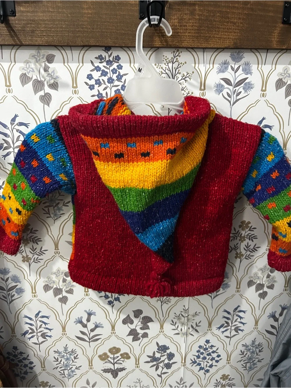 Colorful Hand-Knit Rainbow Hooded Zip Sweater